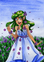 Aster by Becca Hillburn